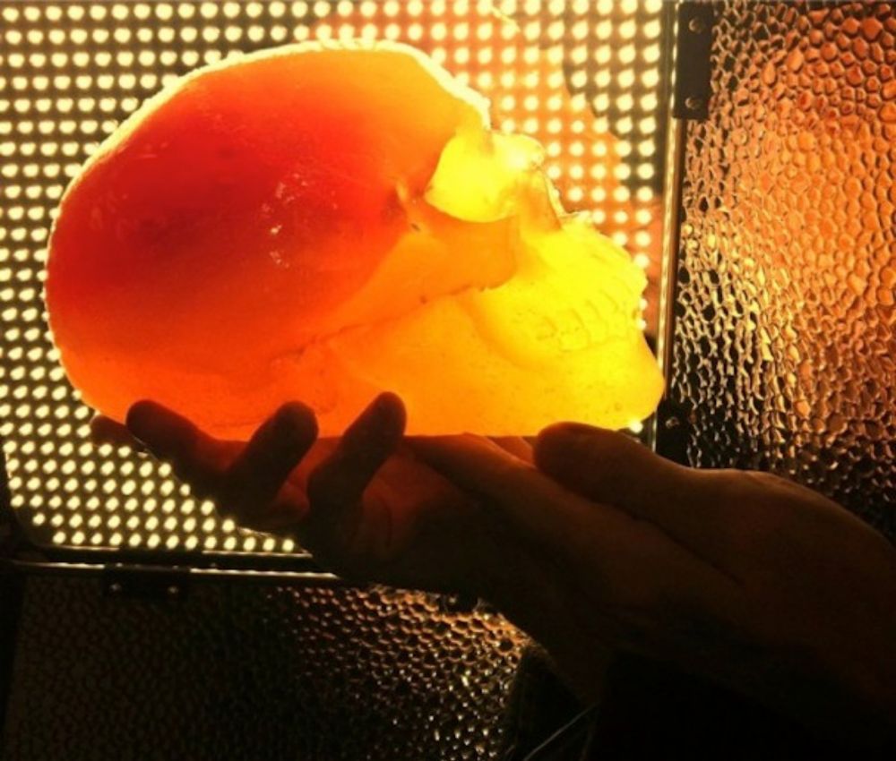 Flaming Lips Release Gummy Skulls, Panda Bear Gets A Skateboard