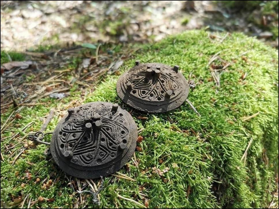 A pair of round concave brooches (Appelgren D-type) on a mossy rock