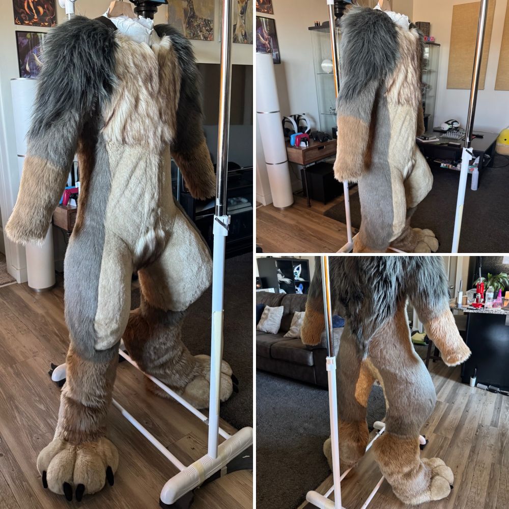 Timber the wolf’s fursuit after being tailored to fit the new owner.