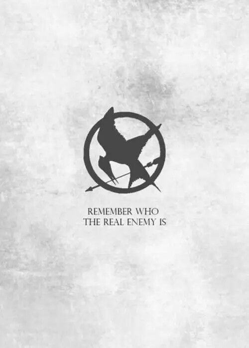 Remember who the real enemy is 