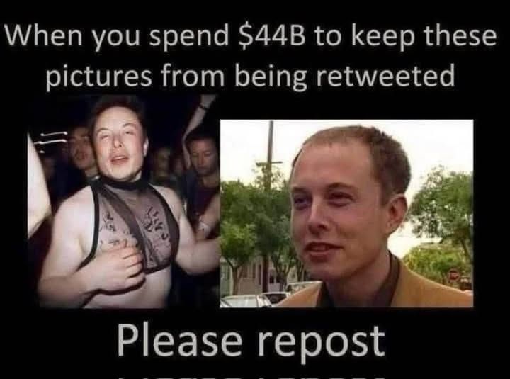 Two photos of Elon Musk.  One is of him wearing a see through top and the second one is before he got hair plugs.