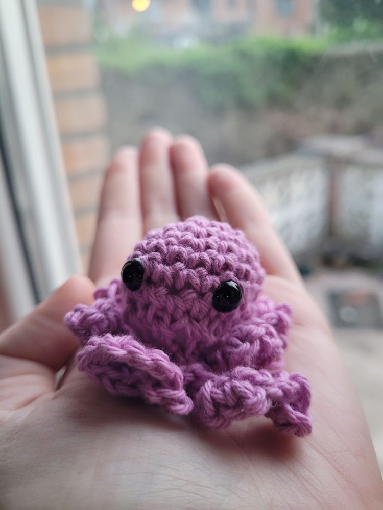 Bébé pieuvre posé sur une main