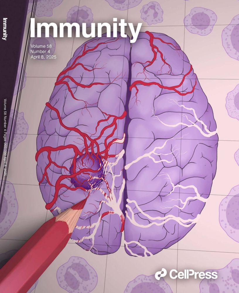 On the cover: The blood-brain barrier is a defining feature of brain tumors, shaping their biology and therapeutic response. In this issue, Bejarano et al. use single-cell RNA sequencing and spatial analysis to construct a vascular atlas of primary and metastatic brain tumors, revealing distinct alterations in endothelial and mural cells. Glioblastomas undergo substantial vascular remodeling compared to low-grade gliomas, while brain metastases exhibit even greater permeability and increased immune cell interactions. This unveiling of vascular heterogeneity is depicted as a red pencil coloring in the intricate details of tumor-associated blood vessels within a map of the human brain wherein a tumor is surrounded by diverse immune cells. Image by Joana C. Carvalho.