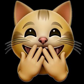 Comment image
