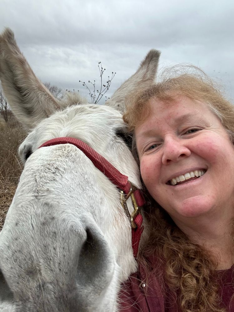 A grey donkey wearing a red halter demands a selfie with a laughing women who is the donkey’s pet human. The donkey is also sticking his nose into the camera which made taking this selfie very difficult.