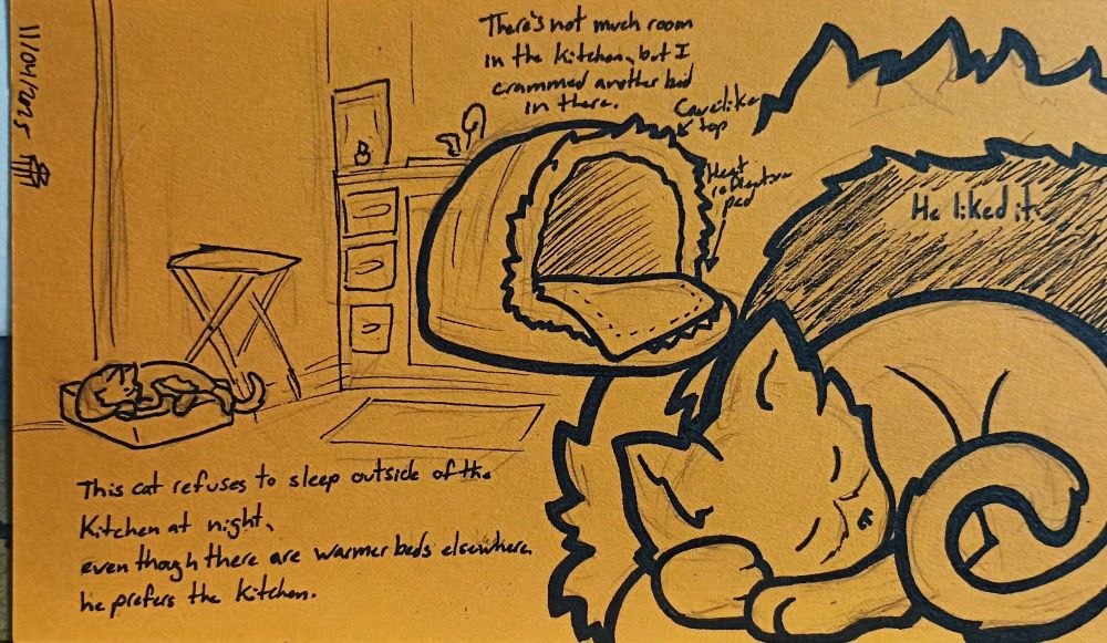 Comic drawn on an orange index card. Daily comic for 11/04/2025. 

Part 1 - One corner of a small kitchen is shown, with a cat sleeping on a small bed against the wall. The caption reads "This cat refuses to sleep outside of the kitchen at night, even though there are warmer beds elsewhere, he prefers the kitchen."
Part 2 - The caption reads "There's not much room in the kitchen, but I crammed another bed in there." Shown below is a covered cat bed with a cave-like top and a heat reflective pad placed inside it.
Part 3 - The caption reads "He liked it." The cat is curled up in the bed described, sound asleep on top of the heat reflective pad.