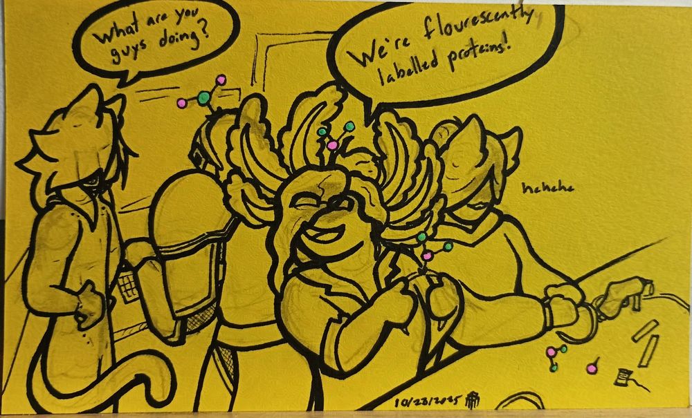 Comic drawn on a yellow index card. Daily comic for 10/28/2025. 
Single part comic.
Two of my coworkers are at their desk doing arts and crafts with headbands and bits of molecule models. My axolotl-like coworker and P3, who sits at their desk behind them are wearing headbands with molecules sticking out of them. One of my cat-like coworkers sits next to my axolotl-like coworker and giggles to herself as she fidgets with a headband.
I ask, "What are you guys doing?" My axolotl-like coworker cheerfully responds "We're fluorescently labeled proteins!"