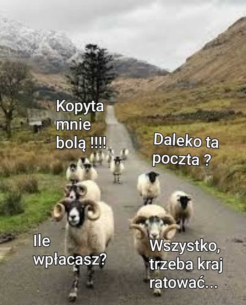 Comment image