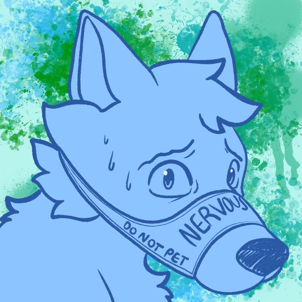 A nervous dog in a fabric muzzle 