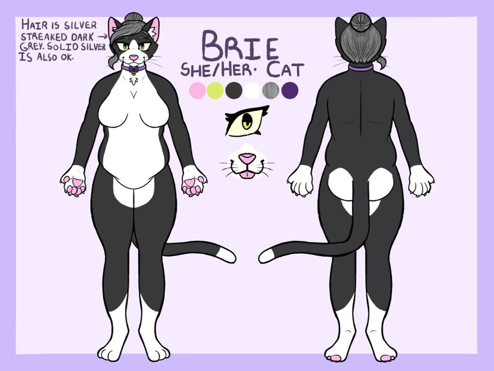 HAIR IS SILVER STREAKED DARK → GREY. SOLID SILVER IS ALSO OK. BRIE SHE/HER. CAT A reference sheet of an anthro cat 