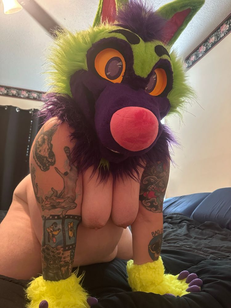 Me, in fursuit head and paws on my knees, showing off my tits 