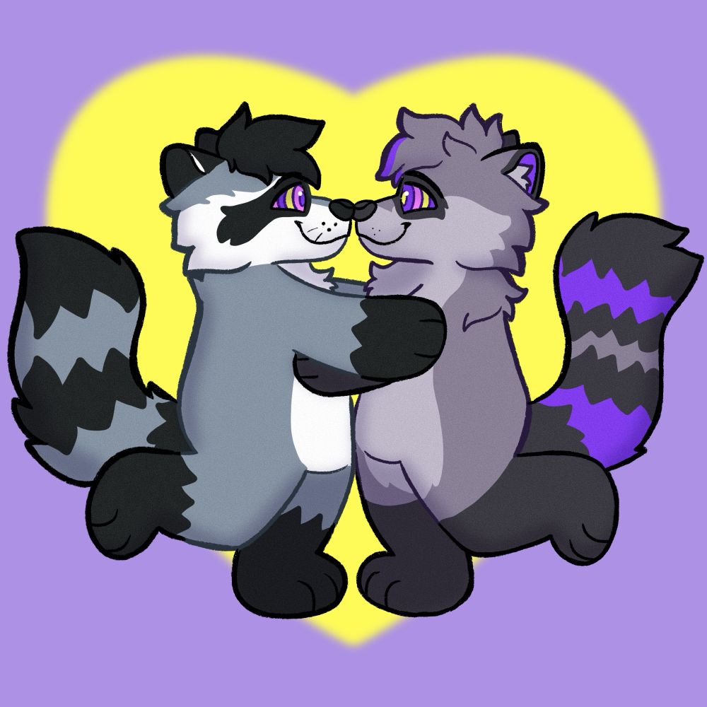 Two raccoons in love 
