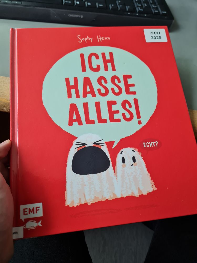 Das rote Buch mit zwei Geistern: "Ich hasse alles!" Von Sophy Henn
