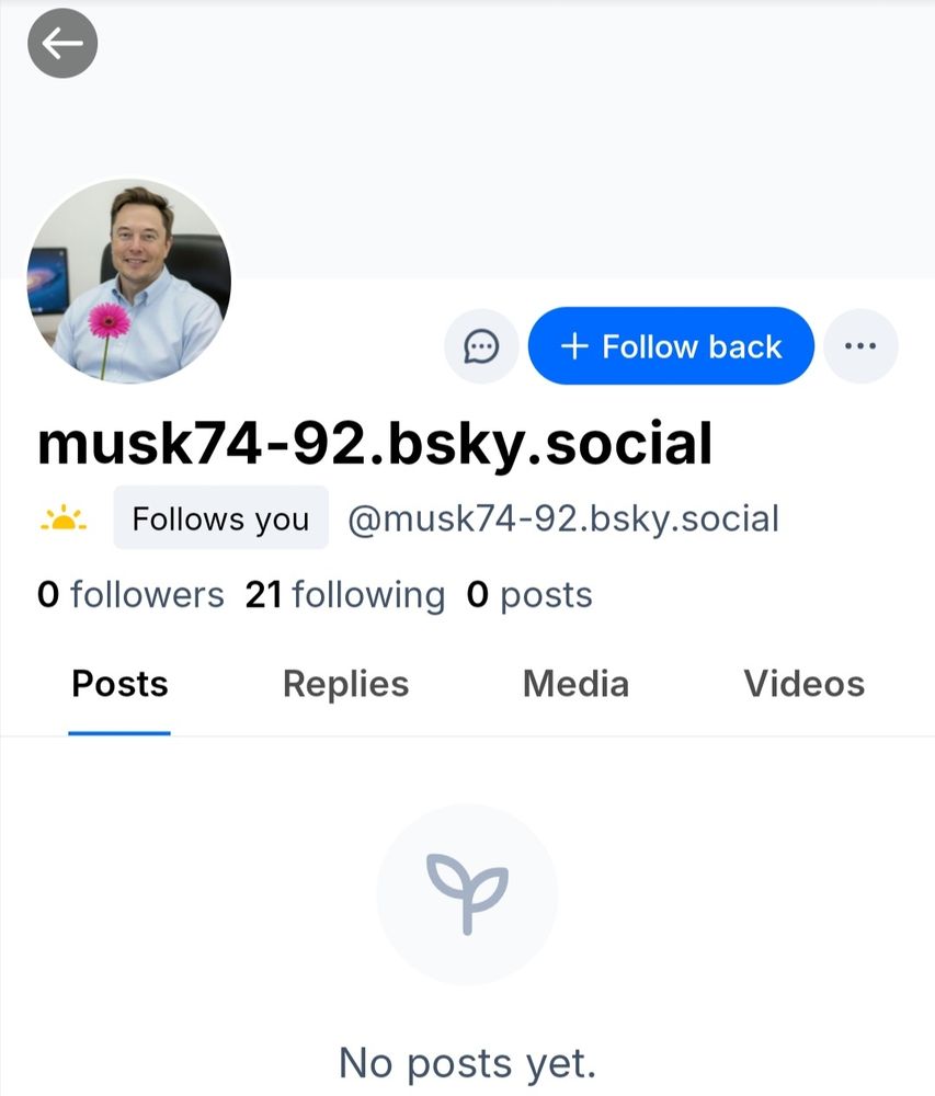 a fake Musk profile on bsky