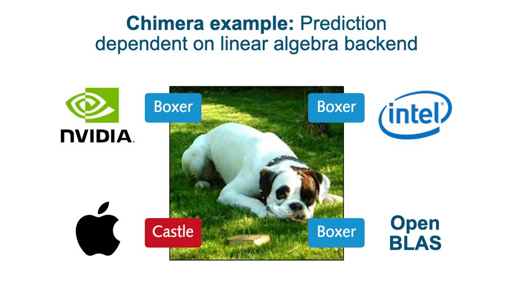 Visualization of the attack. A dog is shown for which three backends yield the prediction "boxer", while one backend returns "castle".
