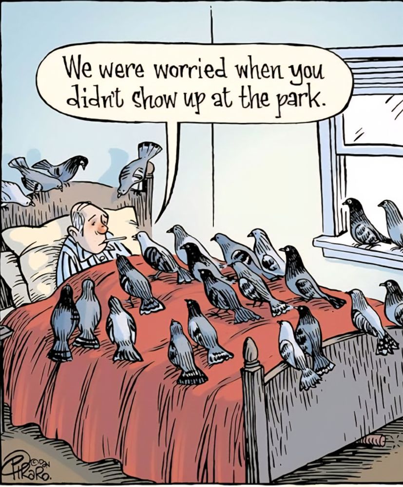 Ein Mann liegt im Schlafanzug im Bett. Er hat eine rote verstopfte Nase und ein Fieberthermometer im Mund. Rund um ihn sitzen auf dem Bett, der roten Bettdecke und dem Fenstersims 24 Tauben und schauen ihn besorgt an. Eine Taube sagt: "We were worried when you didn't show up at the park."