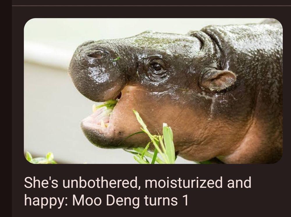 The NBC headline says Mo'o Deng is unbothered, moisturized and happy as she turns one.