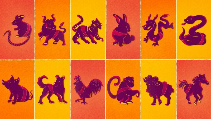 Orange and yellow tile illustrations of the animals for each of the 12 zodiac signs