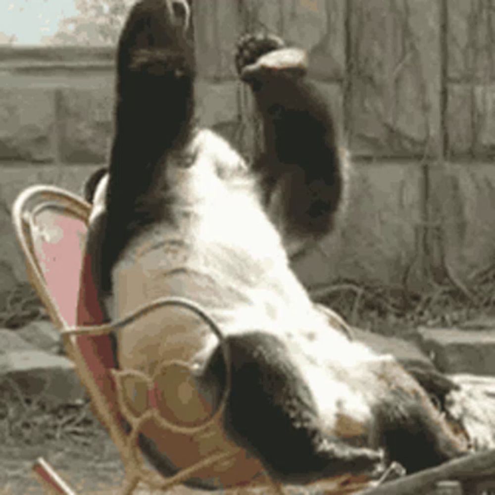 a panda bear is laying on its back in a chair with its paw up