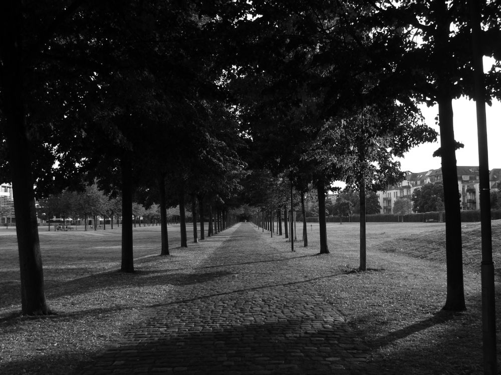 Alle in Schwarz/Weis.