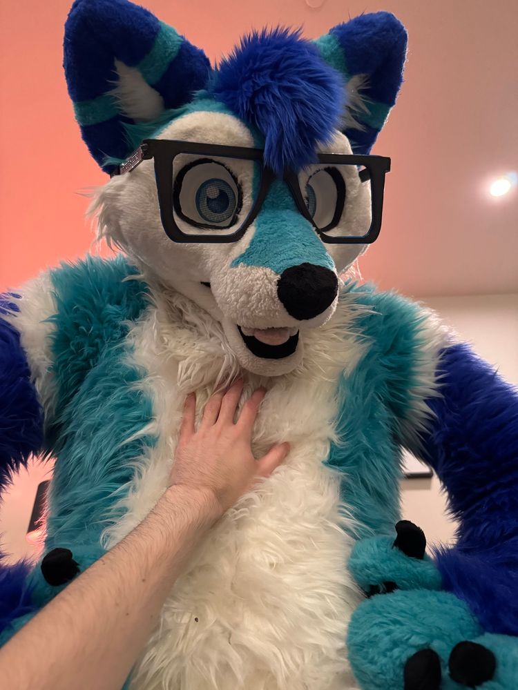 Brince the husky laying on top of me while petting him again 