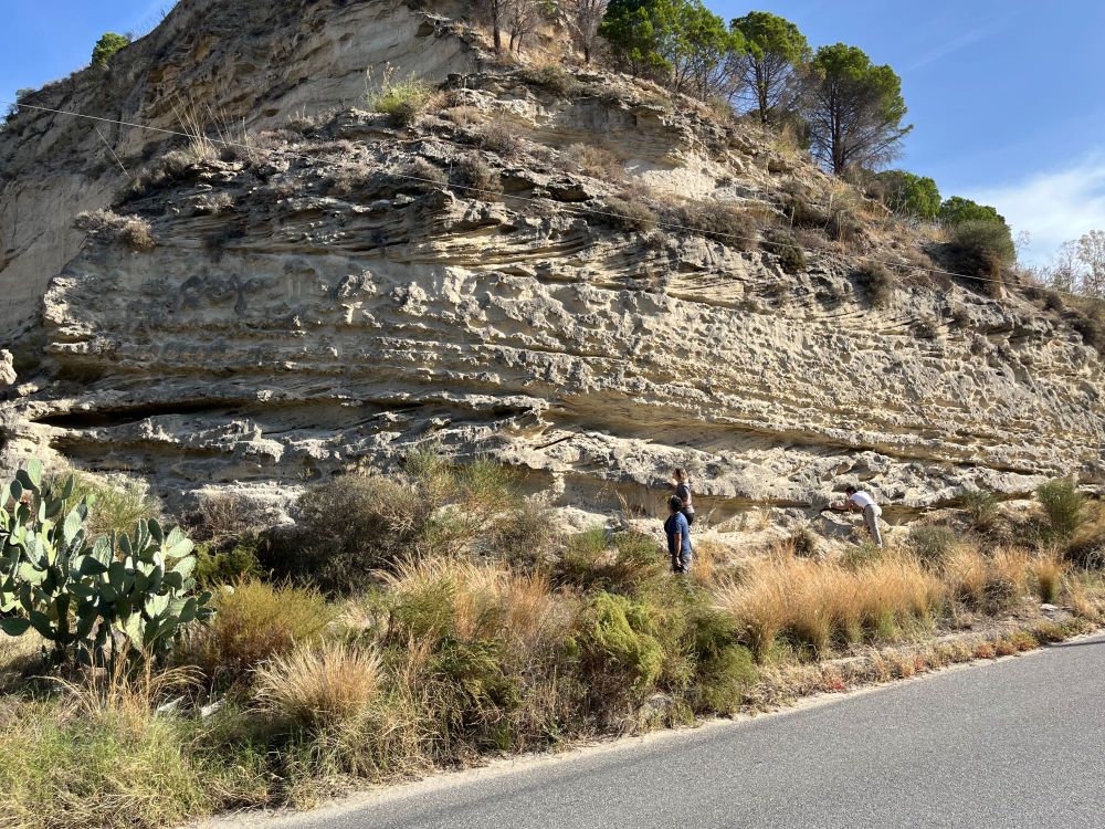 Outcrop of Lower Pleistocene strait deposits in Calabria, southern Italy.