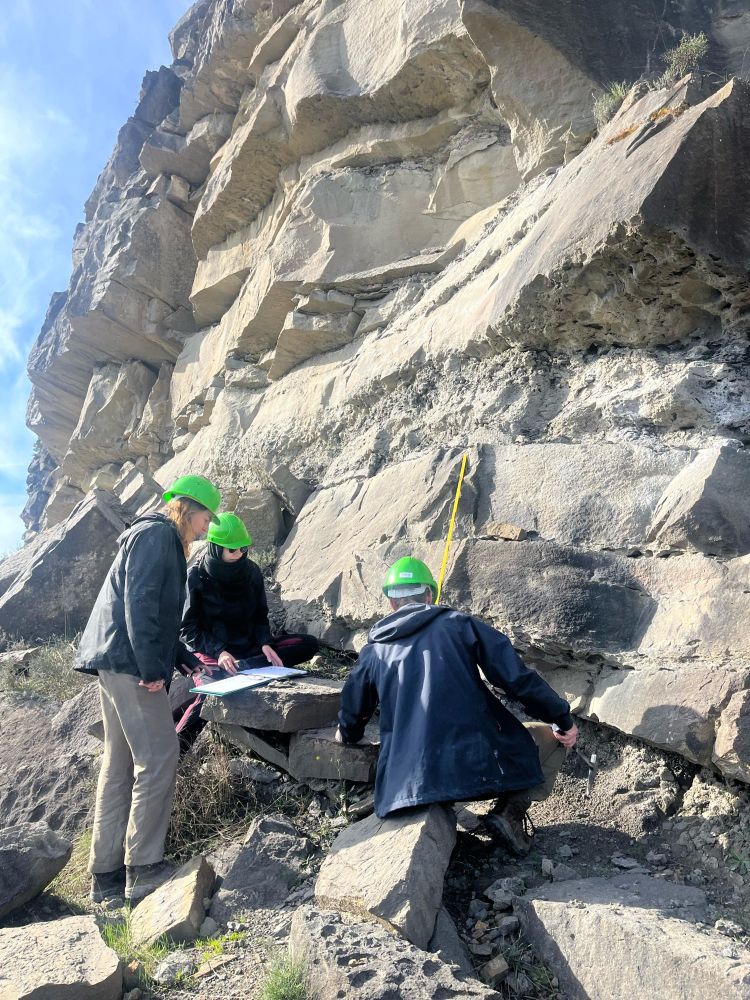 A team of students logging at the Ainsa quarry.