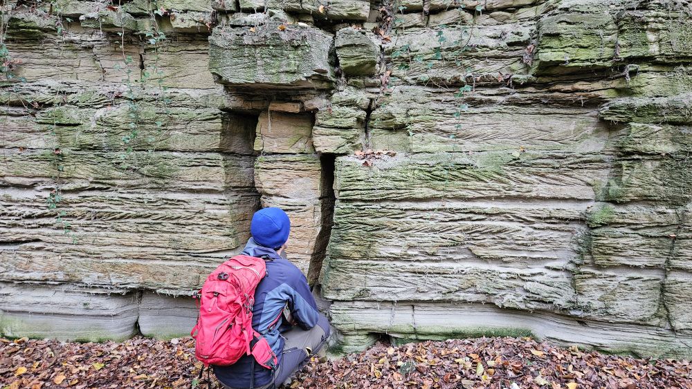 Herringbone cross-stratification in the Buntsandstein in central Germany.