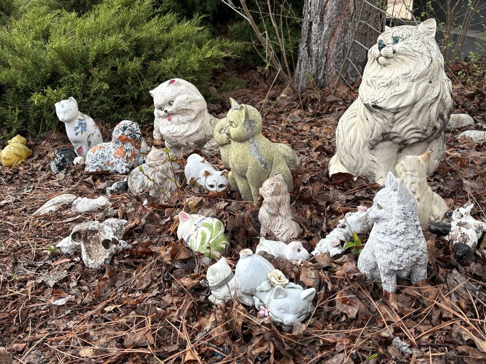 Over a dozen ceramic figures of 
Dogs and cats in various poses, a bit of and worn as if they’d come from a second hand store—all on a small roadside bed of rust colored pine needles 





