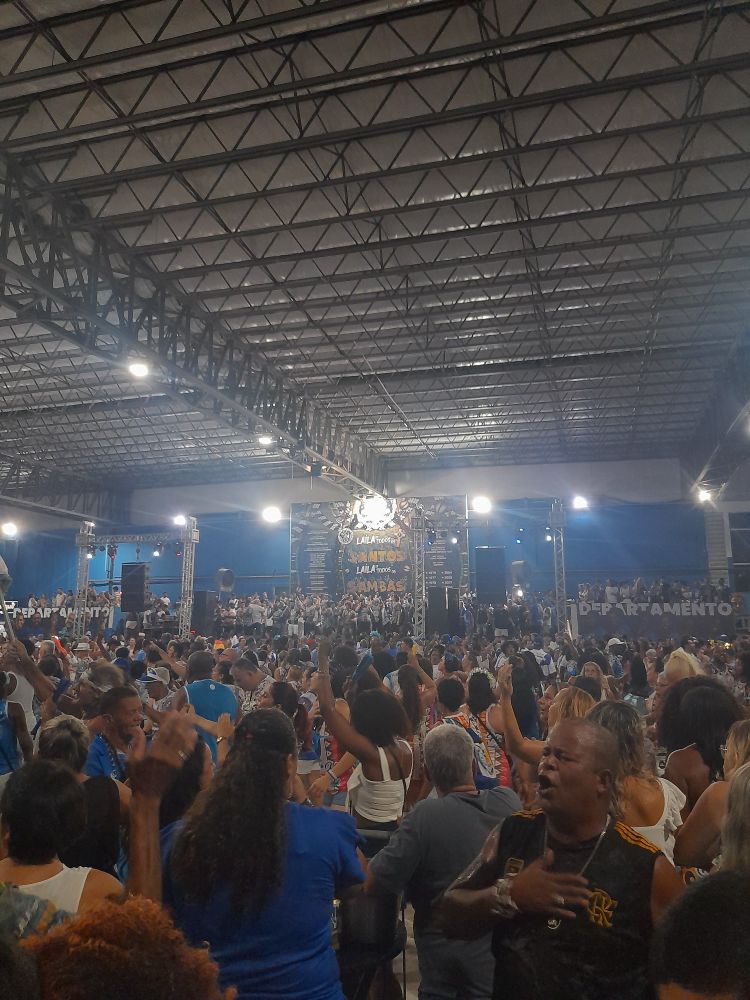 Vista da quadra da Beija-Flor. Pessoas emocionadas cantando 