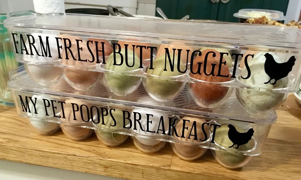 hard plastic egg cartons for chicken farmers, labeled “farm fresh butt nuggets” and “my pet poops breakfast”