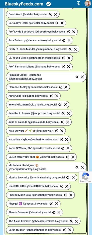 Screenshot list of bsky users whose skeets always appear in the Feminist Scholars feed