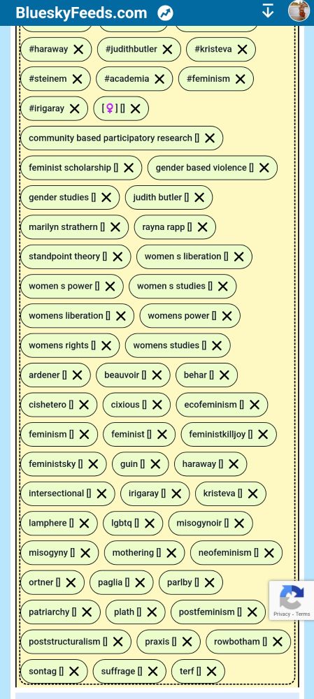 Screenshot of keywords that filter skeets into the Feminist Scholars/ Feminist Sky feed