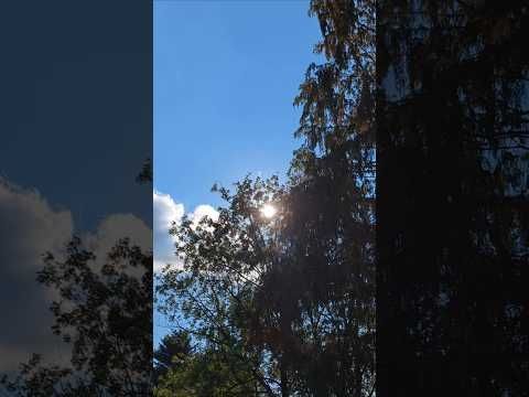AFTERNOON SUN AND CLOUDS! - 8/8/2025