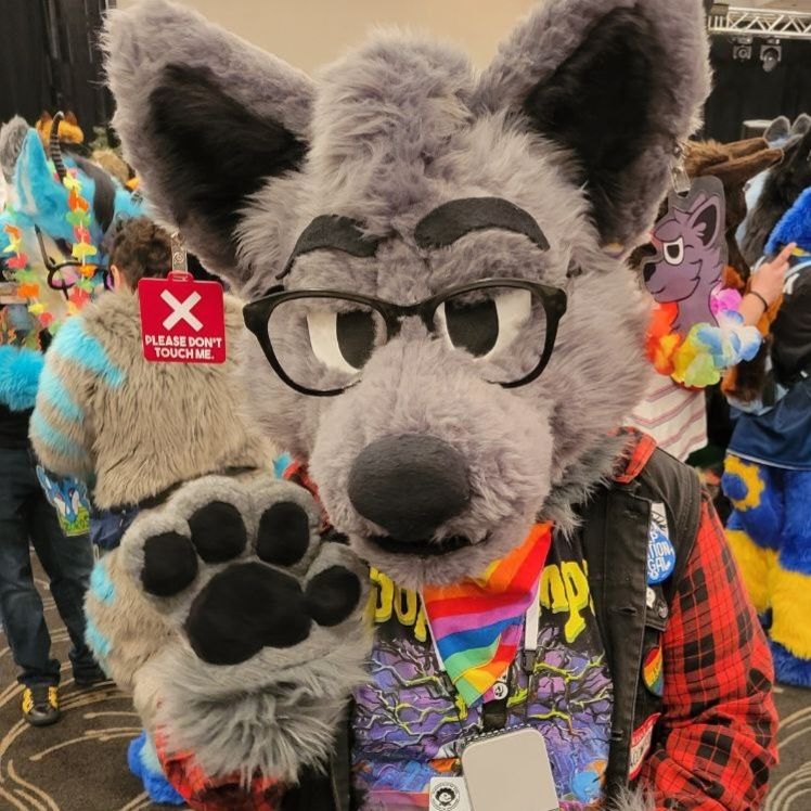 My partial suit: Grey wolf with black accents, paw up to say hi. Wearing big glasses and rainbow bandana. A red clip saying please don't touch me is attached to one ear. A badge of the character clipped on the other.
Also wearing a black denim vest with red plaid sleeves, a goosebumps shirt, a fan hanging from my neck.
