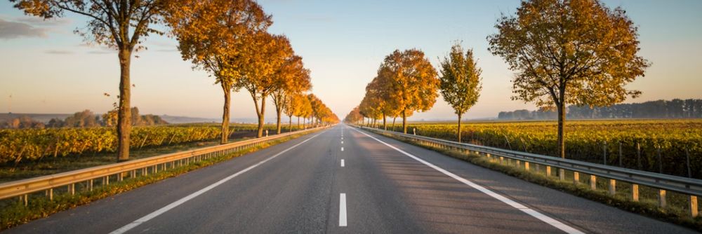 Long road lined with trees