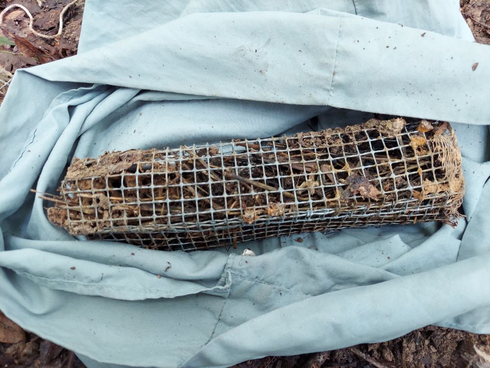 Rectangular rodent trap made out of hardware cloth filled with brown wet grass sitting on a pillowcase.