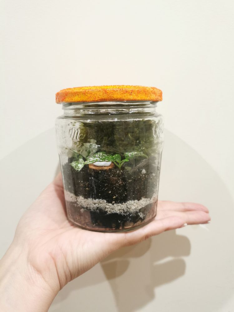 Jardín miniatura dentro de un tarro de mermelada. 