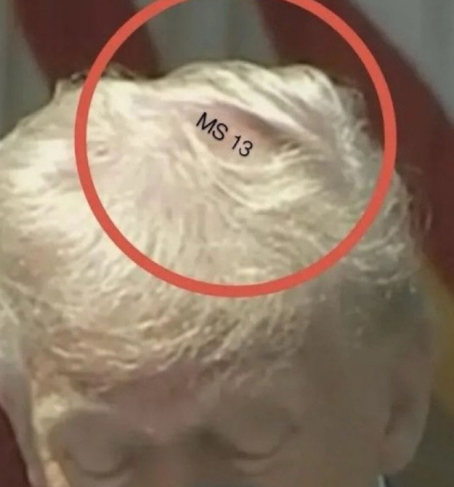Comment image