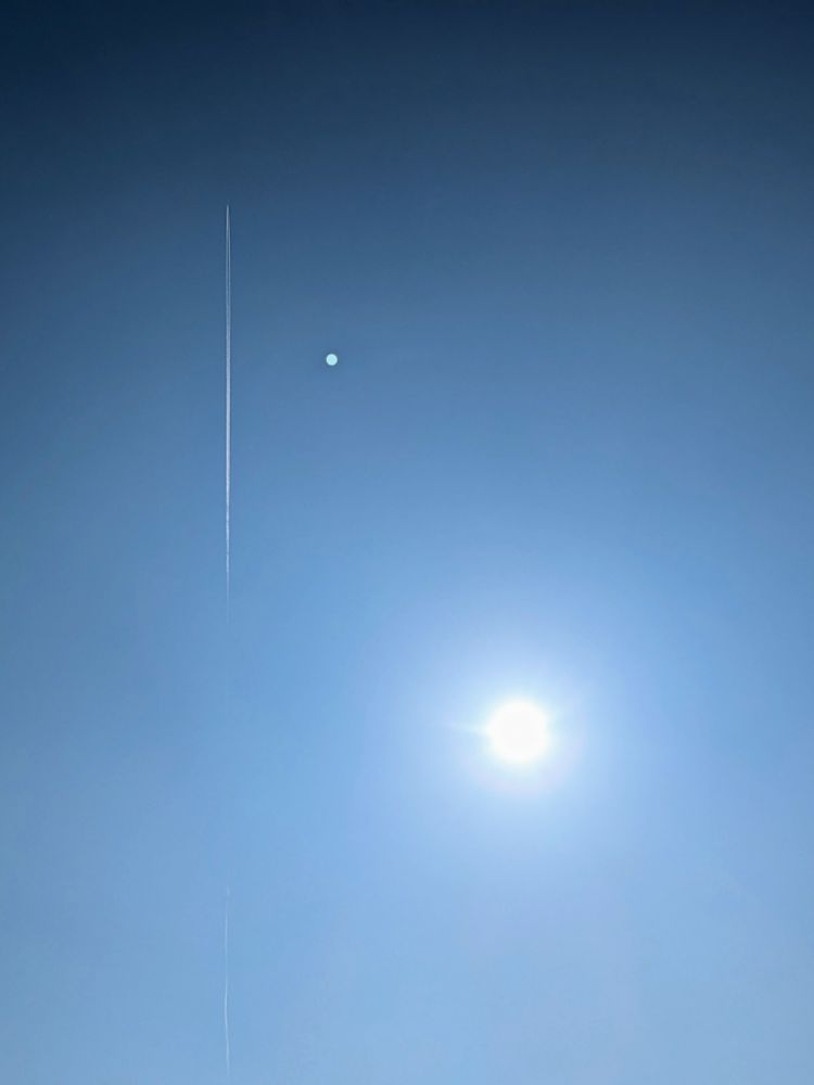 太陽ギラギラの青空に一筋の飛行機雲