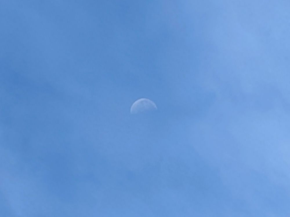 青空にぽっかりと浮かぶ月