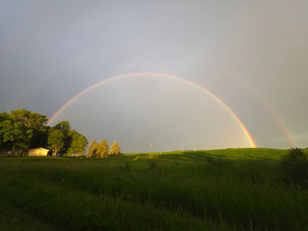 Double rainbow glows over corn fields in the morning light.