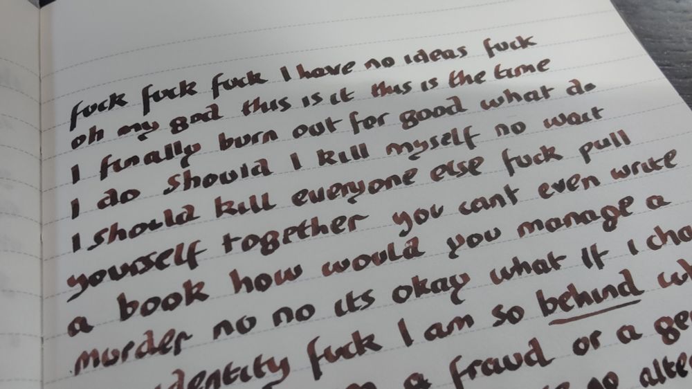 handwritten text in a notebook reading "fuck fuck fuck I have no ideas oh my god this is it this is the time I finally burn out what should I do should I kill myself, no wait I should kill everyone else fuck pull yourself together you can't even write a book how would you manage a murder-" and so on