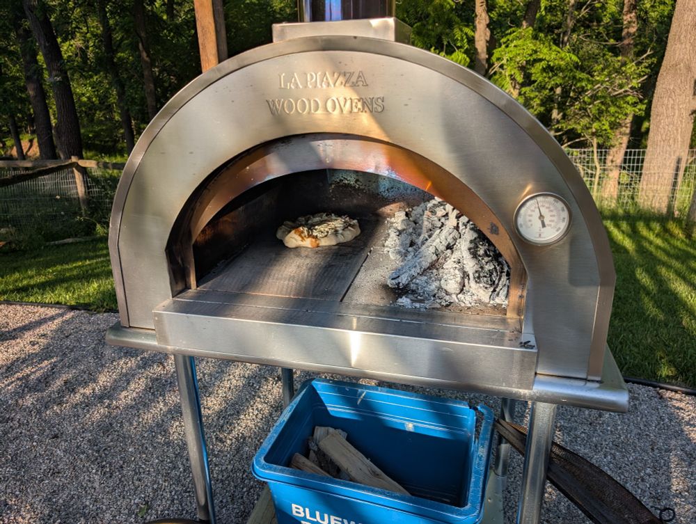 A caramelized onion and chevre pizza in a wood-fired oven