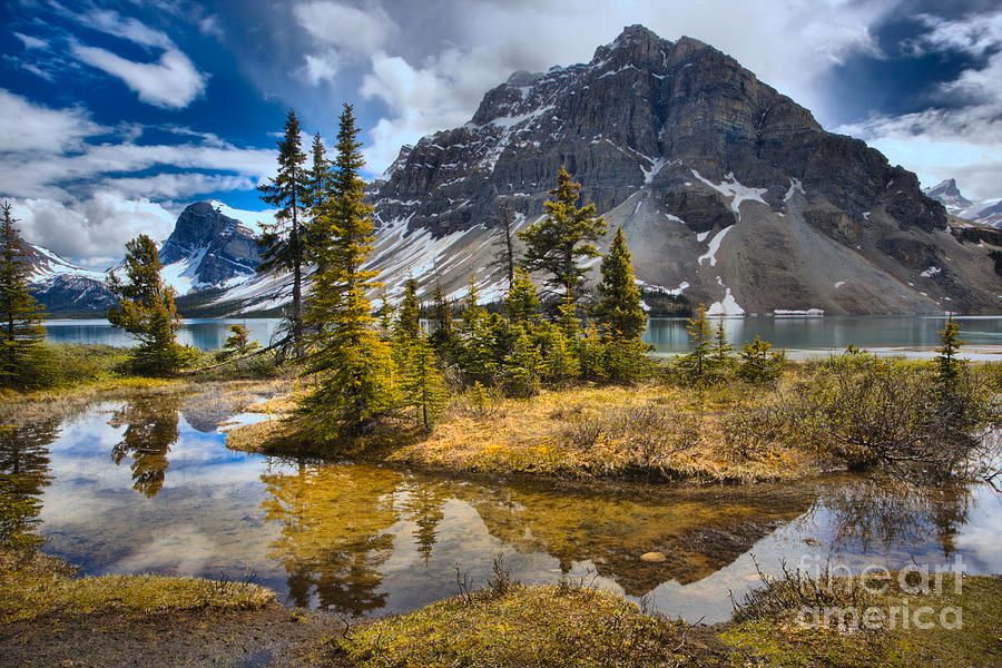 Crowfoot Mountain reflects in the wetlands that form as spring rains flood the area around the edge of Bow Lake along the Icefields Parkway at Banff National Park in Alberta, Canada 🇨🇦 Photo by Adam Jewell.  Buy prints, puzzles, blankets and more at AdamJewell.com