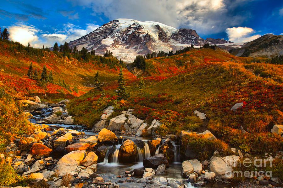 Brilliant fall foliage light up the landscape as Edith Creek flows down below Mt. Rainier on a cool autumn morning at Mt. Rainier National Park in Washington State.  Photo by Adam Jewell.  Buy prints, puzzles, fleece blankets and more at https://adamjewell.com/featured/edith-creek-sunrise-adam-jewell.html