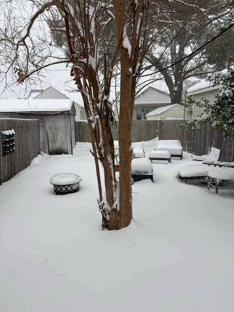 A backyard with 8+ inches of fluffy white snow blanketing it