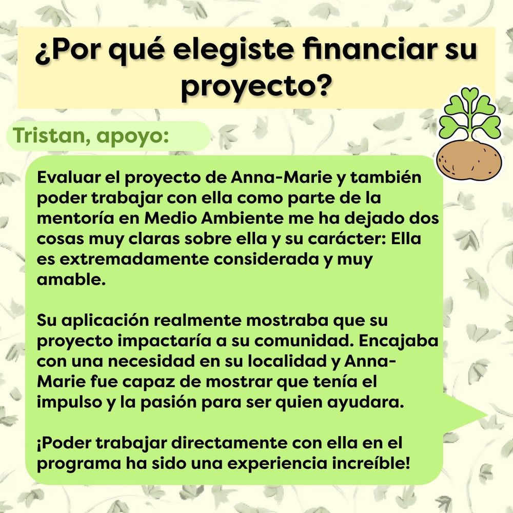 Esta diapositiva tiene el mismo fondo con hojas verdes. En la parte superior, se muestra el texto "¿Por qué elegiste financiar su proyecto?" sobre un recuadro amarillo. Debajo hay un globo de texto color verde con el texto "Tristan, apoyo: Evaluar el proyecto de Anna-Marie y también poder trabajar con ella como parte de la mentoría en Medio Ambiente me ha dejado dos cosas muy claras sobre ella y su carácter: Ella es extremadamente considerada y muy amable.
Su aplicación realmente mostraba que su proyecto impactaría a su comunidad. Encajaba con una necesidad en su localidad y Anna-Marie fue capaz de mostrar que tenía el impulso y la pasión para ser quien ayudara. ¡Poder trabajar directamente con ella en el programa ha sido una experiencia increíble!" El logo de Potato Seeds, una papa con un brote verde que tiene cinco hojas en forma de corazón saliendo de arriba, se muestra en la parte superior derecha.
