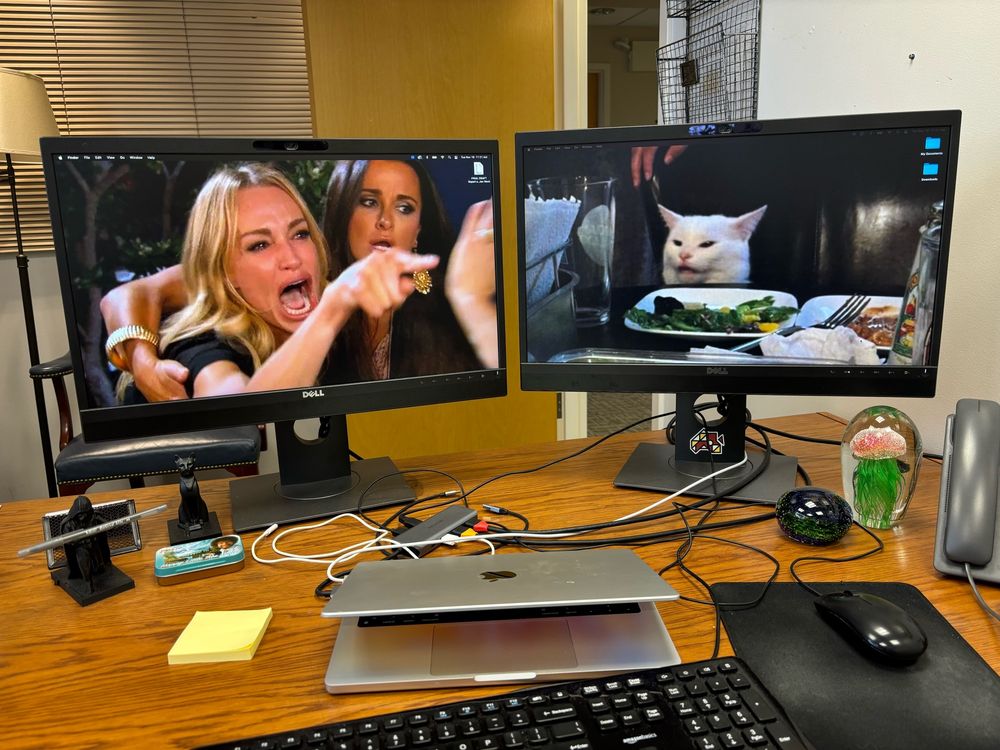 Two computer screens on a desk, one of which has wallpaper of the woman yelling at a cat from the famous meme, and the other with wallpaper of the cat