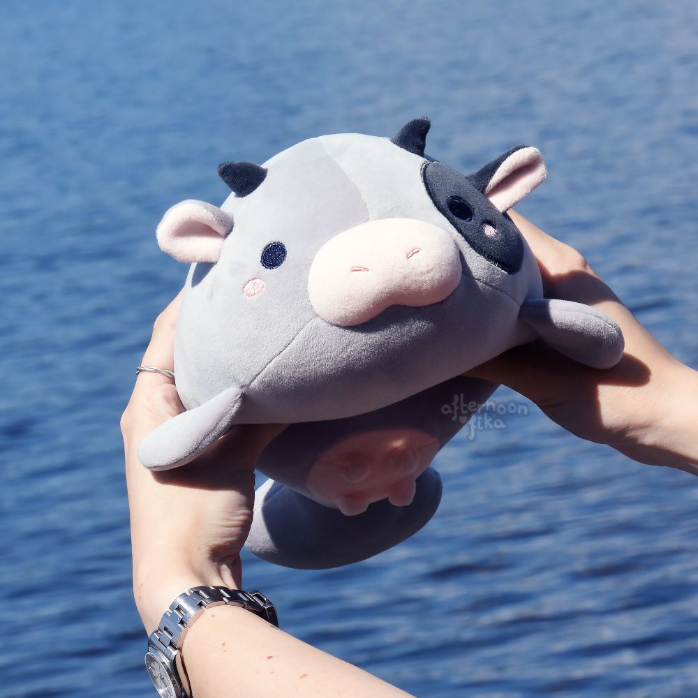 A photo of Umiko's baby, a smaller sea cow, being squeezed around the tummy like a hamburger by two hands. From this angle, you can see the belly, with a round, pink tummy showing four small udders. One can also see that her right side of her face has a darker patch, almost like a pirate. Off to sail the seven seas!